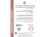 OCCUPATIONAL HEALTH AND SAFFTY MANEGEMENT SYSTEM CERTIFICATE