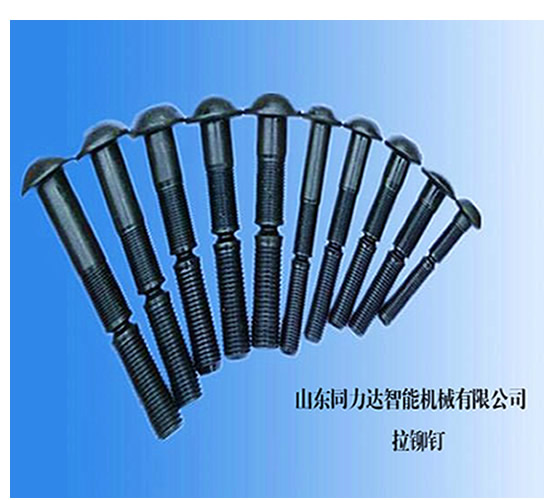 環槽鉚釘 LMY-T12