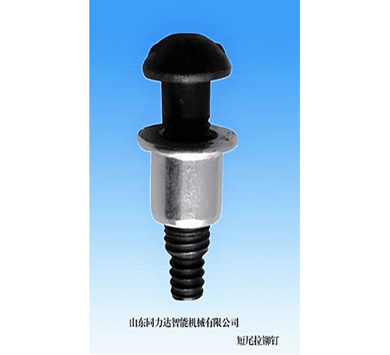 短尾拉鉚釘 LMDY-T20