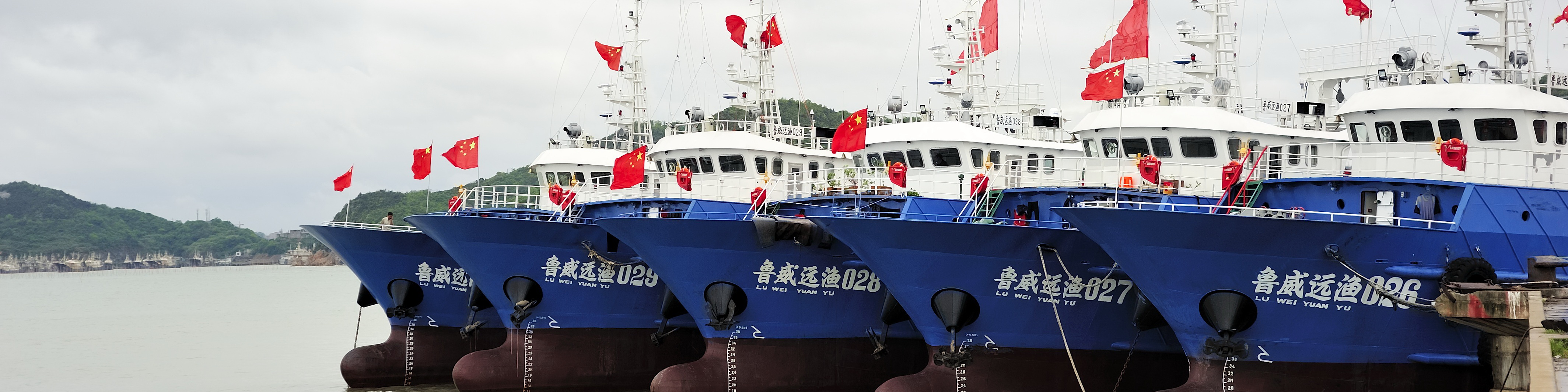 49.98米遠洋拖網漁船項目