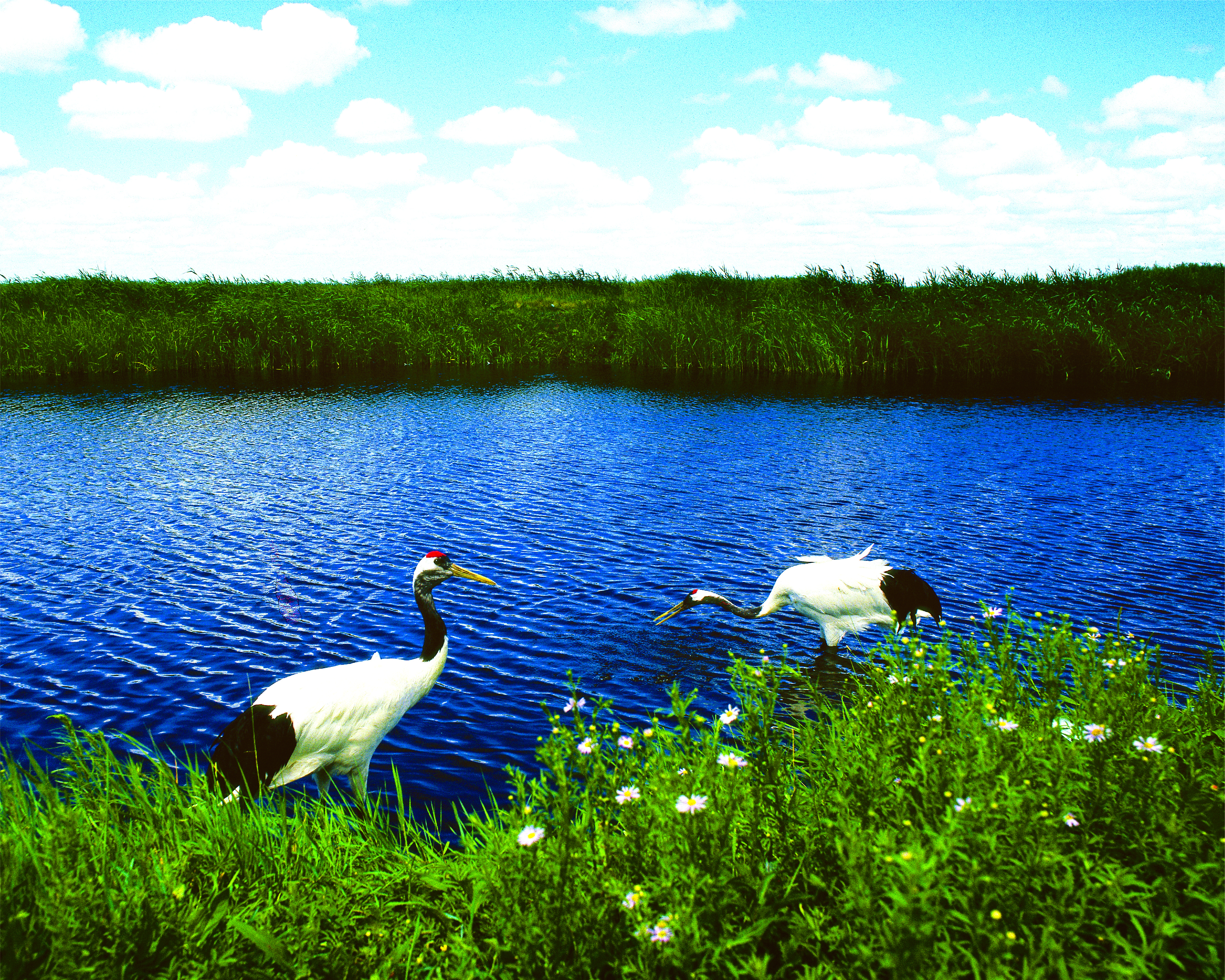 Eco-Environmental Protection