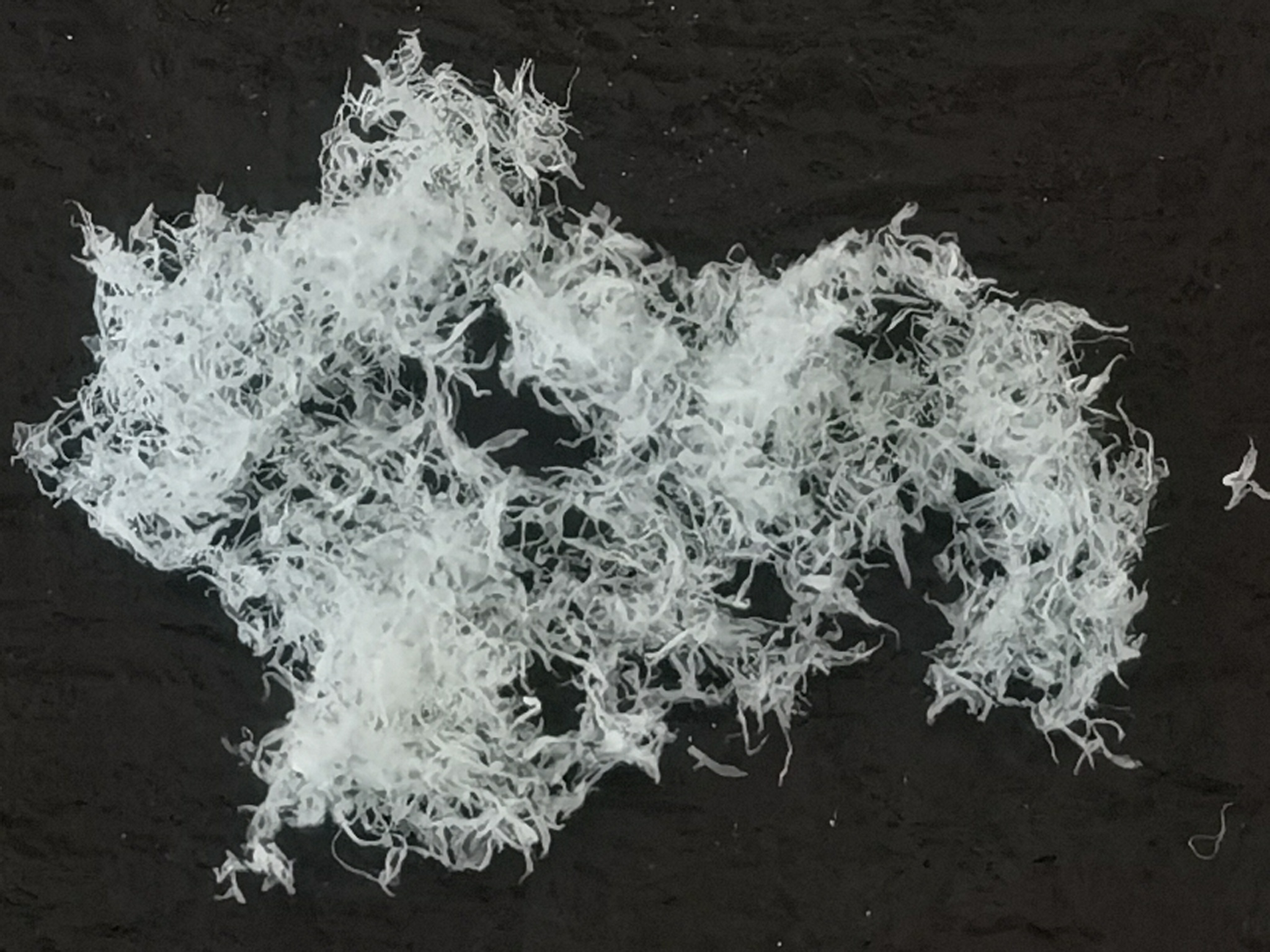 間位芳綸沉析纖維